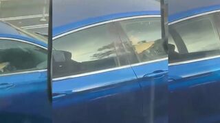Trucker Spots Naked Wanker Driving