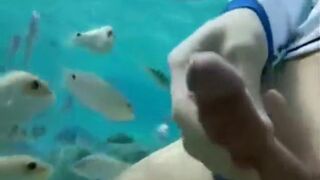 18: fish eat cums in ocean