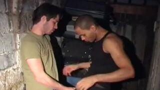 Down In The Basement